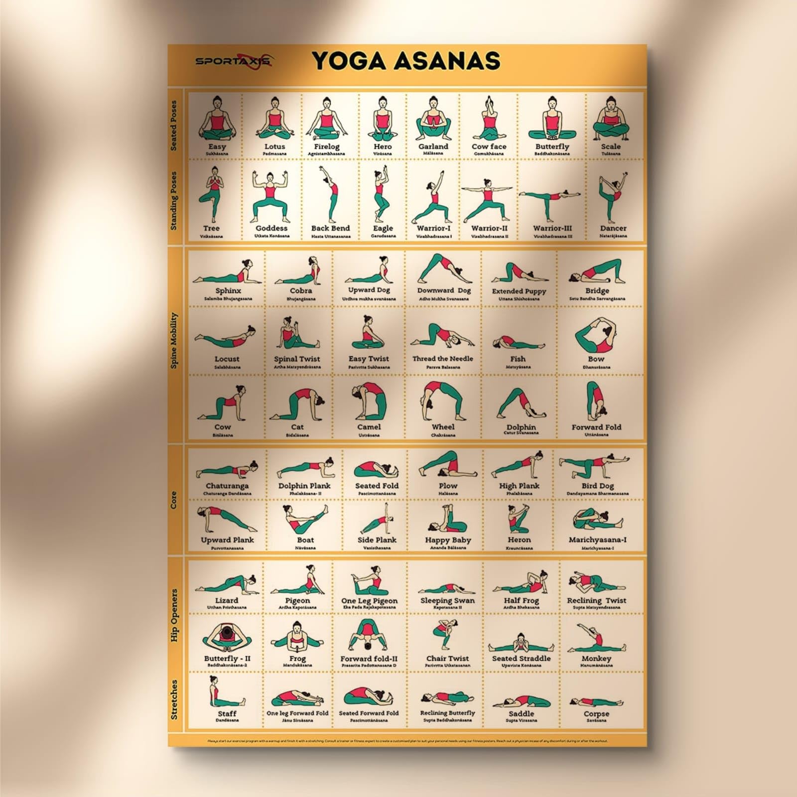 ヨガ・ピラティス seed and soil Asana tops SAF Yoga Asanas Chart Wall Poster | Complete Yoga Poses Guide for